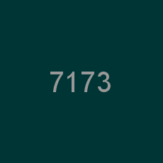 7173