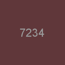 7234