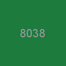 8038