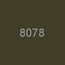 8078