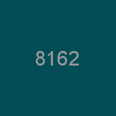 8162