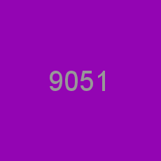 9051