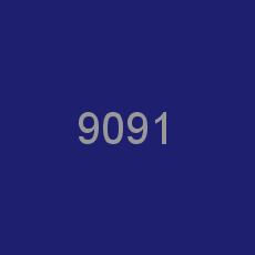 9091