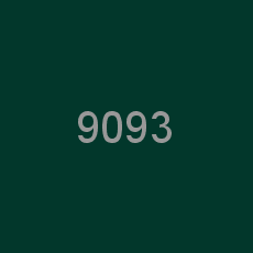 9093