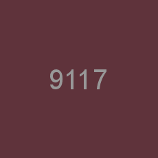 9117