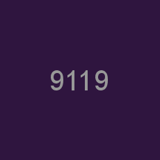 9119
