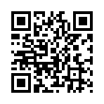 2381958828 2381958828