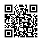 7911031384 7911031384