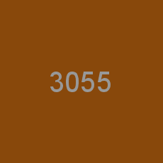 3055