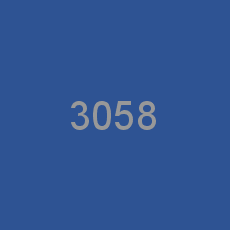 3058