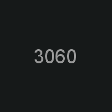 3060