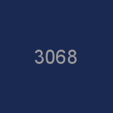3068