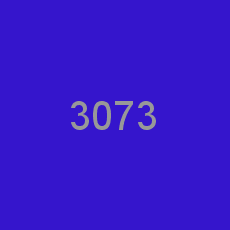 3073