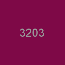 3203