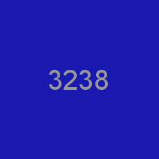 3238