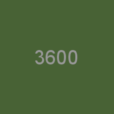 3600