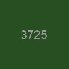 3725