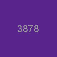 3878