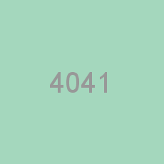 4041