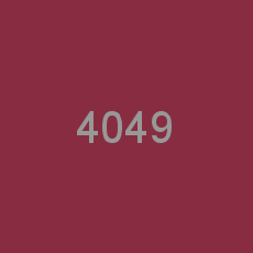 4049