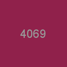 4069