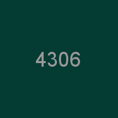 4306