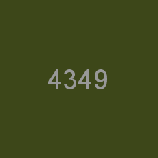 4349
