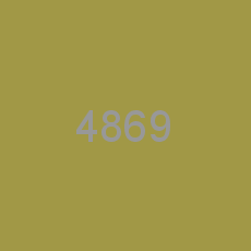 4869