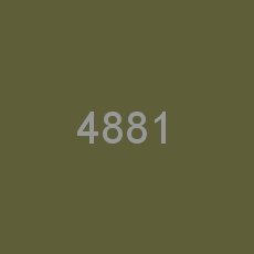 4881