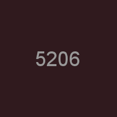 5206