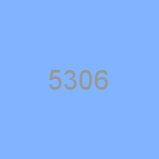 5306