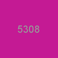 5308