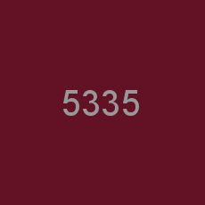 5335