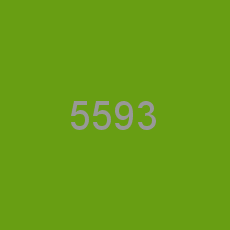 5593