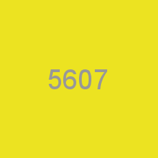 5607