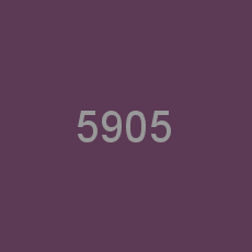 5905