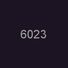 6023