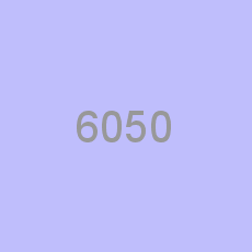 6050