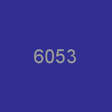 6053