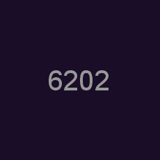 6202