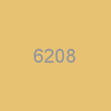 6208