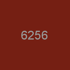 6256