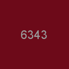 6343