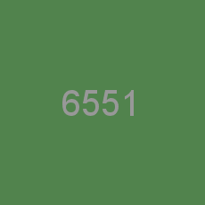 6551