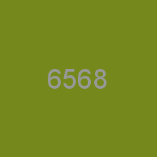 6568