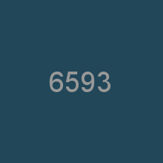 6593