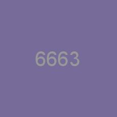 6663