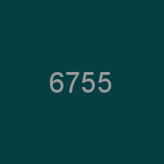 6755