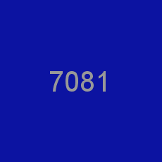 7081