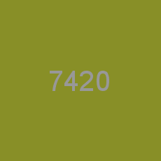 7420